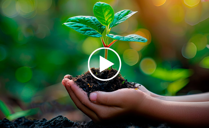 Image is not available